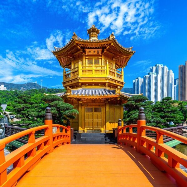 Experienced Hongkong